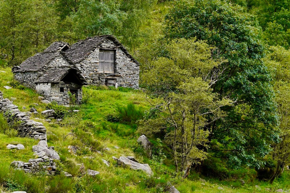 Preserving Rural Heritage: Historic Buildings and Landscapes Worth Visiting